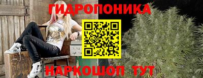 молекула духа Сланцы