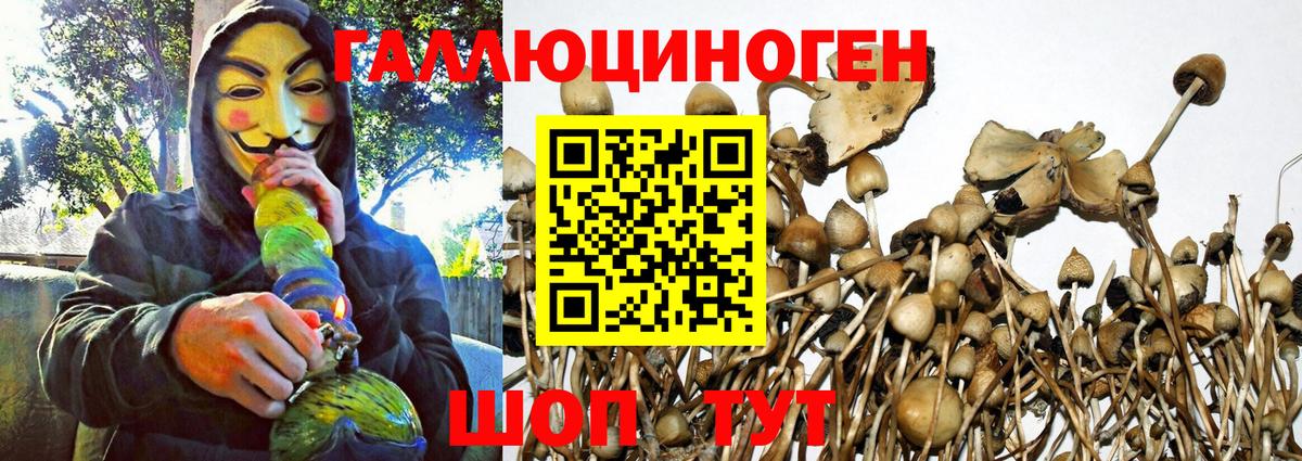 Псилоцибиновые грибы ЛСД Сарапул