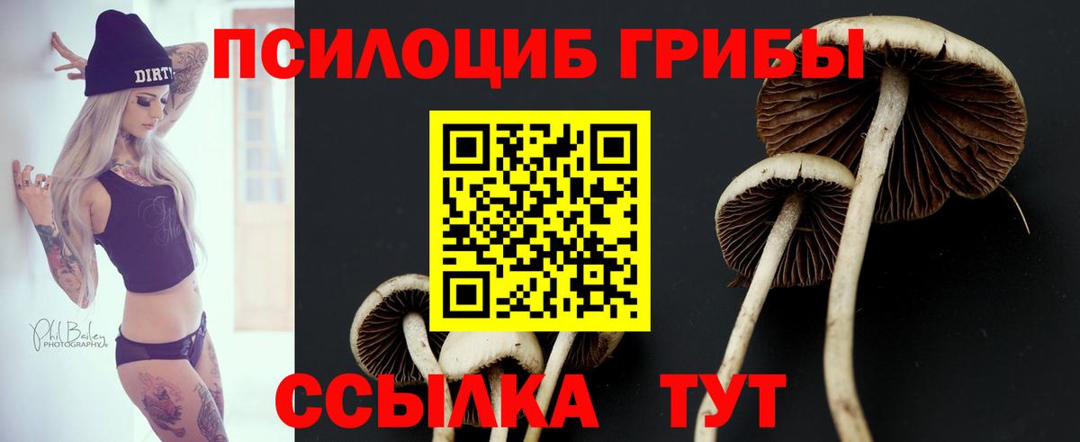 Псилоцибиновые грибы Cubensis  Вход с VPN  цены наркотик  Сарапул  Галлюциногенные грибы Psilocybine cubensis 