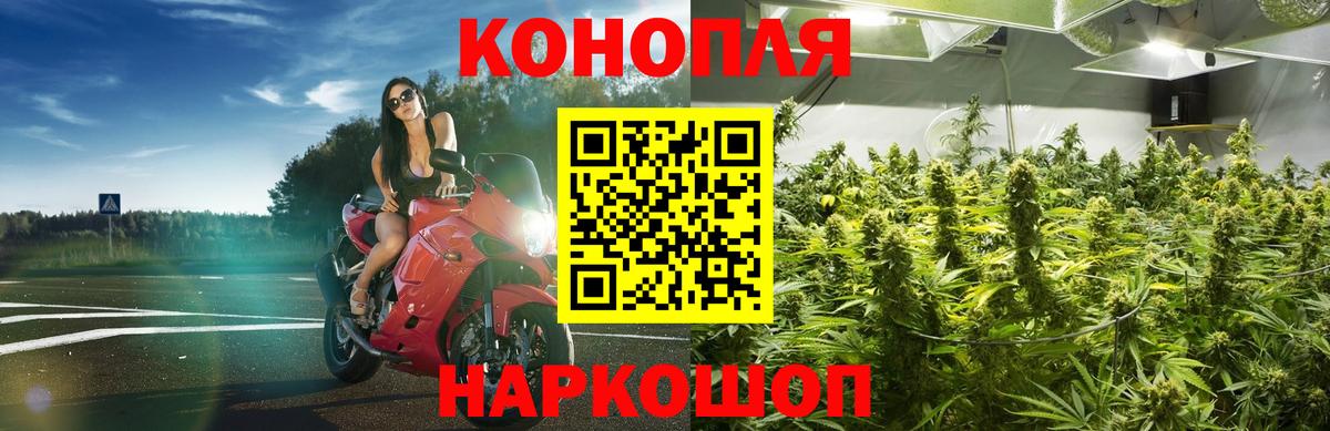 Шишки марихуана SATIVA & INDICA  Вход с VPN  Марихуана THC 21%  Сарапул 